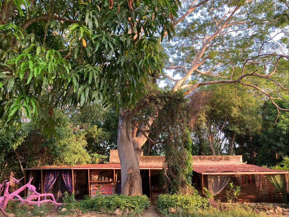 Planta Glamp Farm Hotel Santa María Huatulco Buitenkant foto