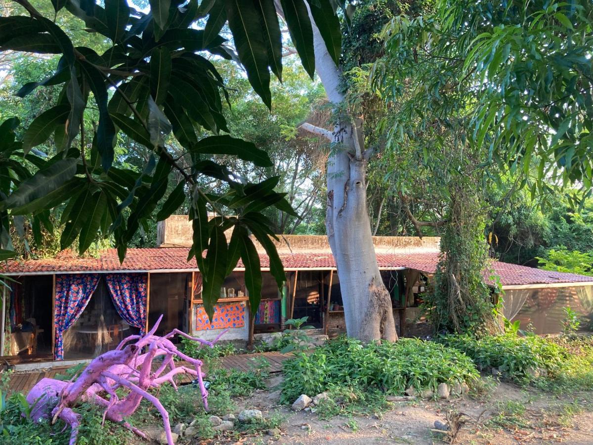 Planta Glamp Farm Hotel Santa María Huatulco Buitenkant foto