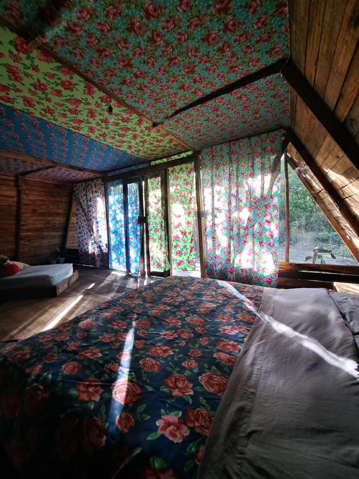 Planta Glamp Farm Hotel Santa María Huatulco Buitenkant foto